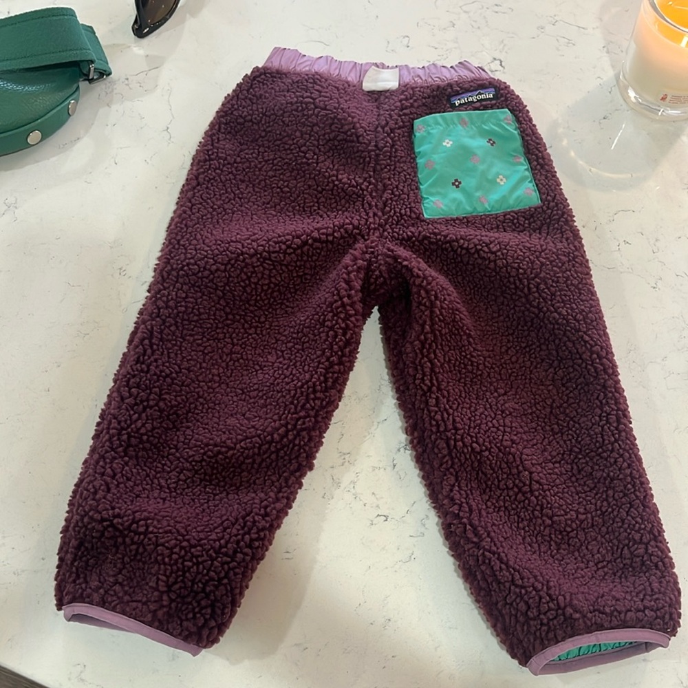Reversible Patagonia pants